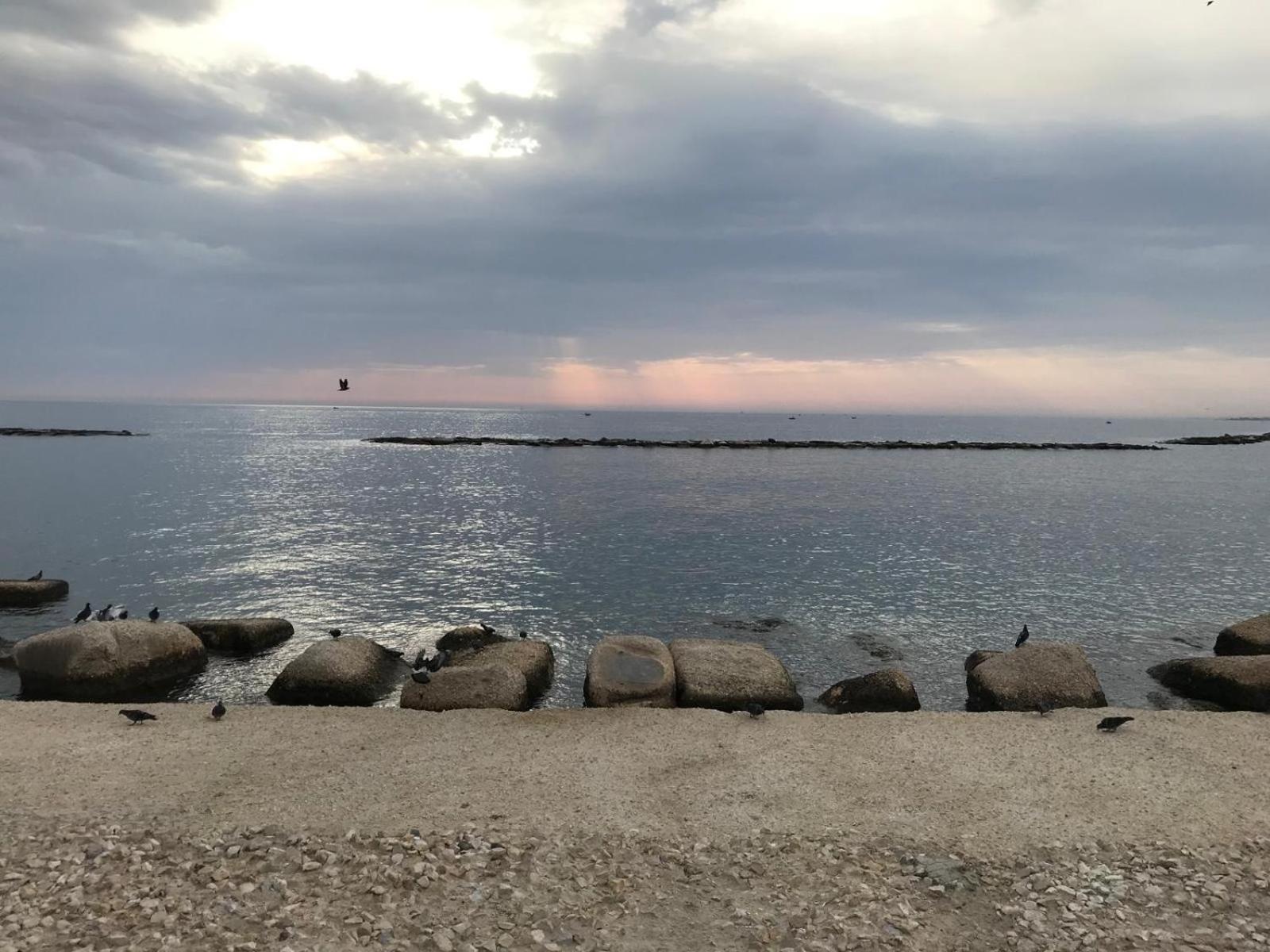 La Maison Di Serena Bari Bagian luar foto